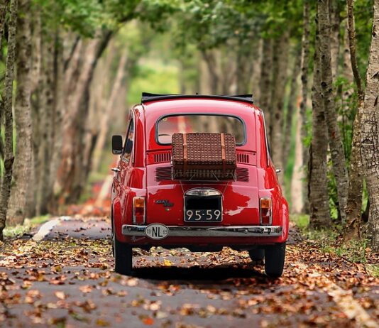 Gdzie znajduje się numer VIN Fiat Freemont?